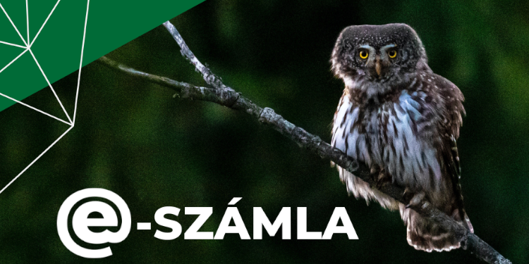 TÁJÉKOZTATÓ E-SZÁMLA BEVEZETÉSRŐL