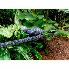 Teufelberger  Chameleon statikus famászó kötél,  50 m,  3750 g