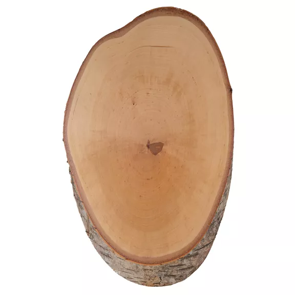Trófea alátét Gímszarvas, Nyírfa 35-39x20, világos