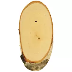 Trófea alátét Őzbak, ovális nyírfa 20x12, világos