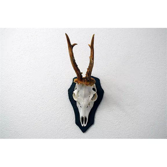 Trófea alátét Őzbak, palakőzetből, L méret, 22,5 x 14 cm