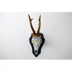Trófea alátét Őzbak, palakőzetből, L méret, 22,5 x 14 cm