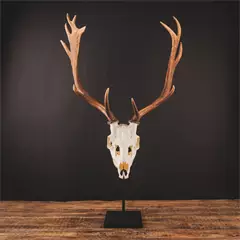 Waidmetall Dámszarvas trófeatalp Waidmetall Dámszarvas trófeatalp