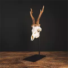 Waidmetall Őz trófeatalp