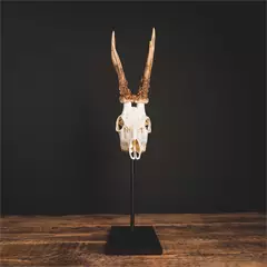 Waidmetall Őz trófeatalp