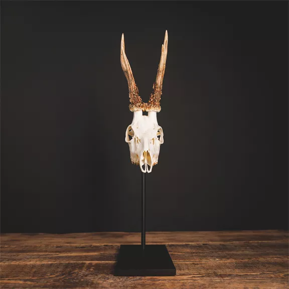 Waidmetall Őz trófeatalp