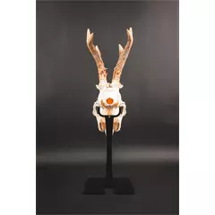 Waidmetall Őz trófeatalp (Slim változat)