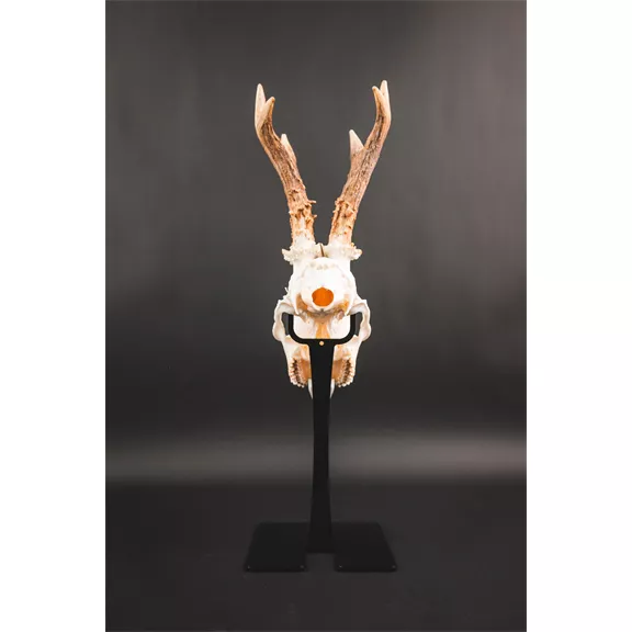 Waidmetall Őz trófeatalp (Slim változat)