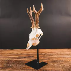 Waidmetall Őz trófeatalp (Slim változat)