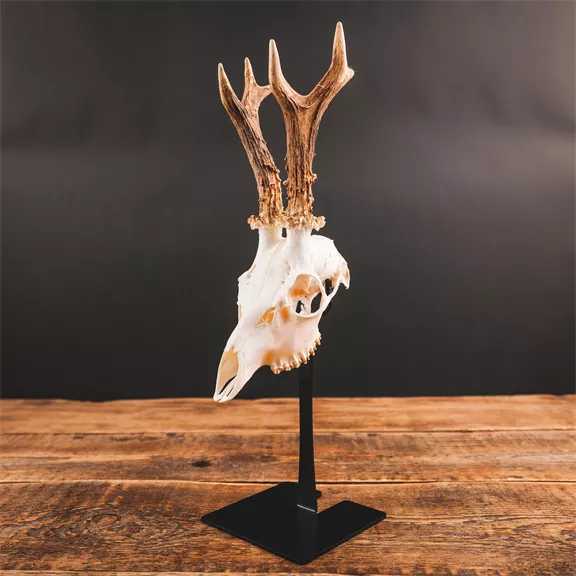 Waidmetall Őz trófeatalp (Slim változat)