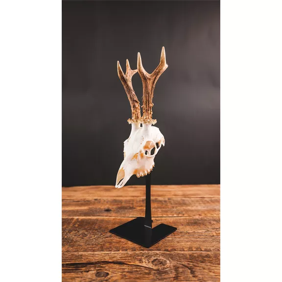 Waidmetall Őz trófeatalp (Slim változat)