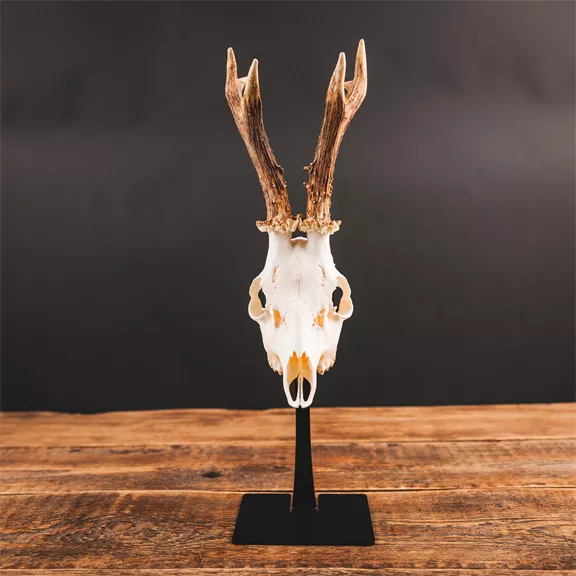 Waidmetall Őz trófeatalp (Slim változat)