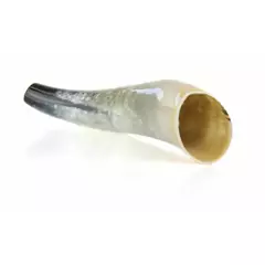 Weisskirchen ökörszarv bőgőkürt 40cm