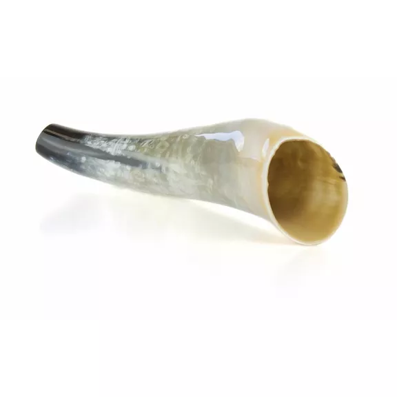 Weisskirchen ökörszarv bőgőkürt 40cm