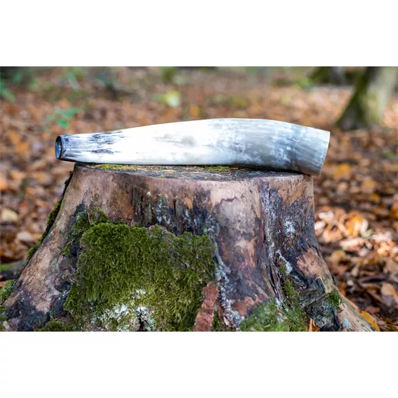 Weisskirchen ökörszarv bőgőkürt 40cm
