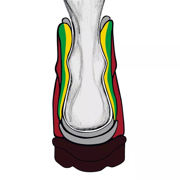 WoodWalker MFS vágásbiztos bakancs, 46