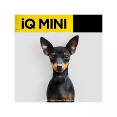 iQ MINI elektromos kutyakiképző nyakörv