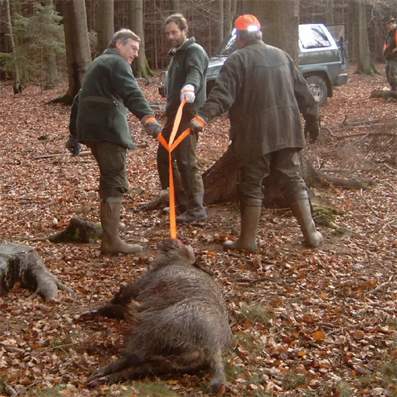 tjs vaddisznó horog, 3 főhöz, 220kg ig